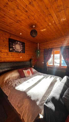 Welshpool Ski Chalet | APPLE Cabin - Little Log Cabin in Wales