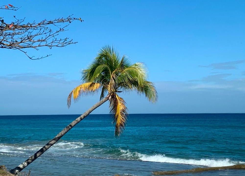 Carrizal Villa | Atlantic Wave Villa