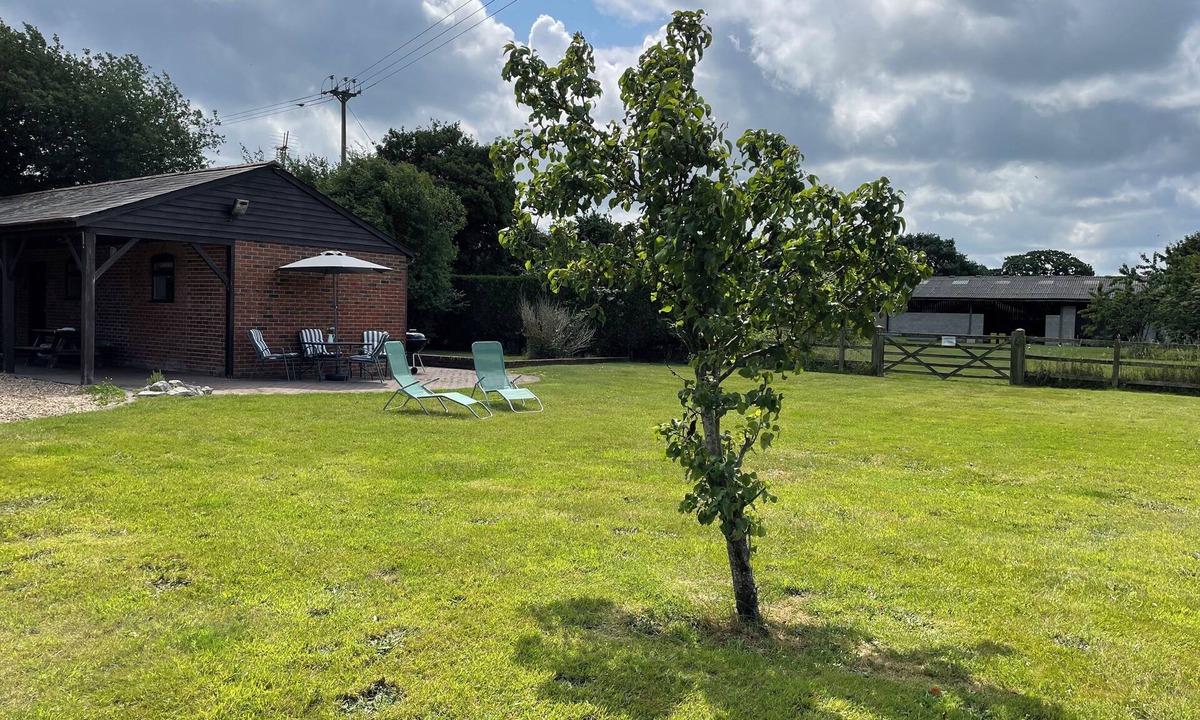 Martin House | Beautiful holiday home on the outskirts of the New Forest.