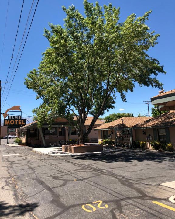 Bishop Hotel | Bishop Elms Motel