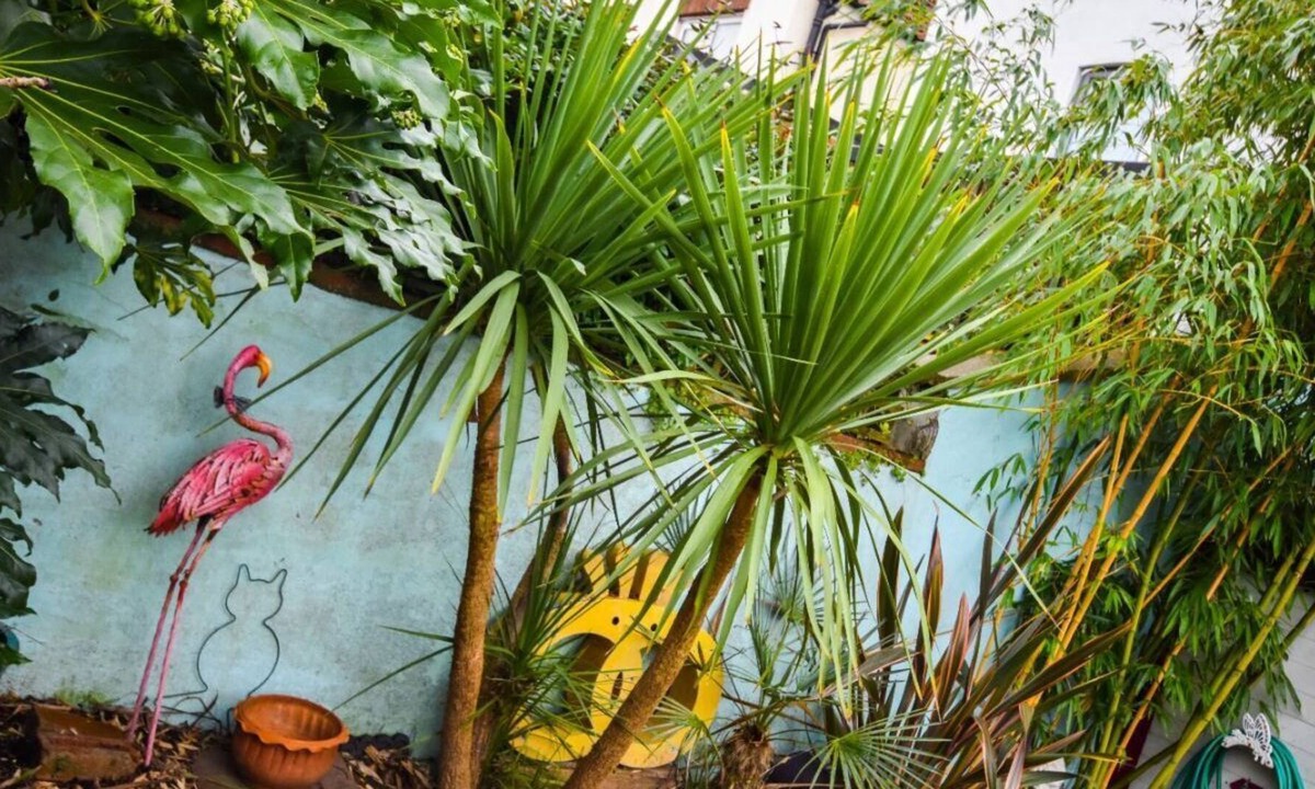 Southville House | Colourful 3BD Home With Garden in Southville