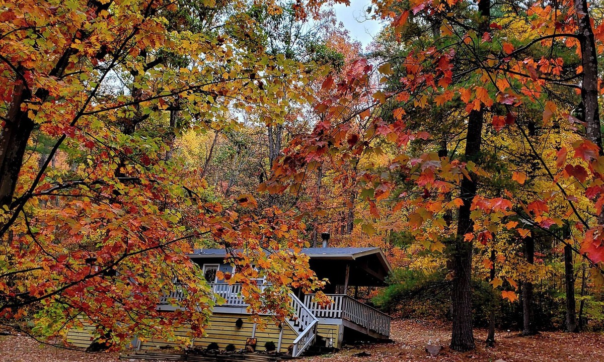 Hinton Cabin | Dog friendly cabin. Peaceful nature getaway.