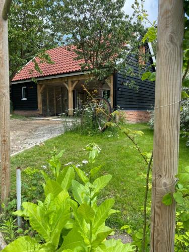 Westleton Apartment | Foxgloves self catering