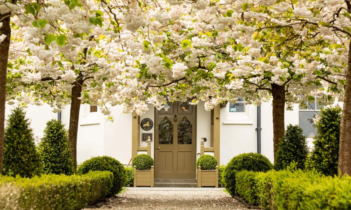 Molleston Hotel | Grove of Narberth