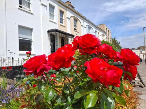 Cheltenham House | Hamilton House