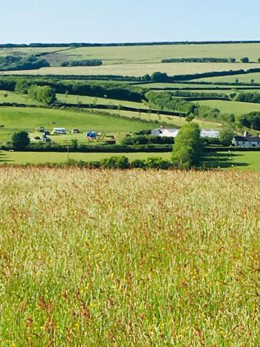 Twitchen Other | Headgate Farm Camp Site - Pitches Only - Bring your own tent or van