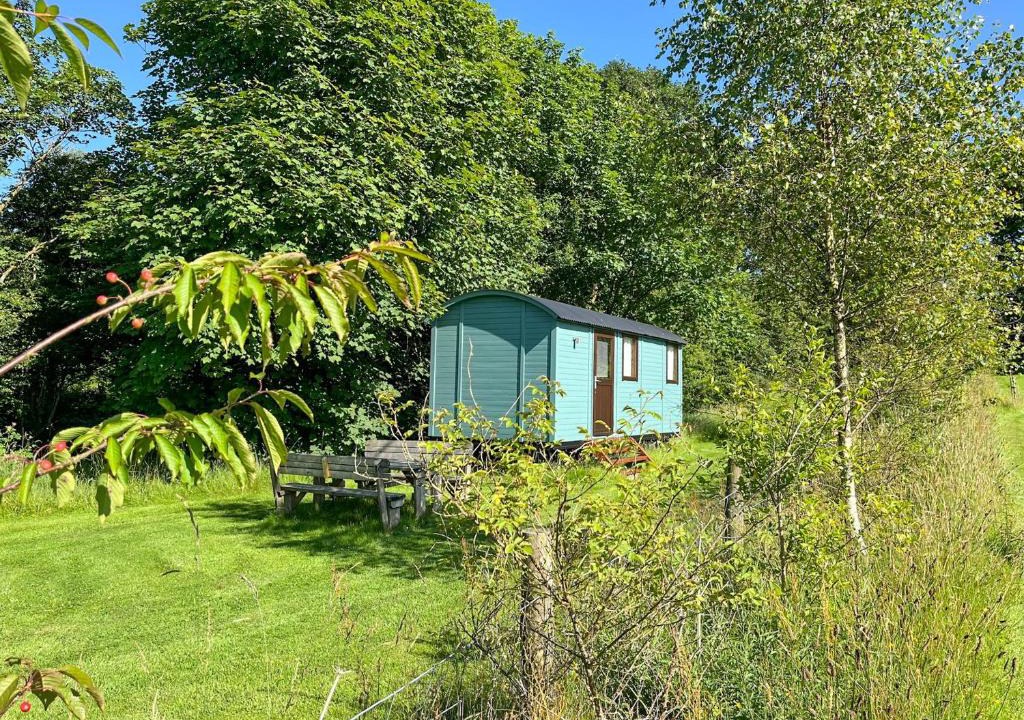 Llandyssiliogogo House | Misty Shepherds Hut - Ukc9298