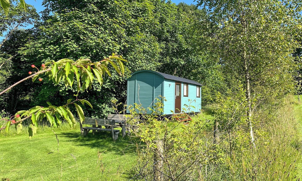 Llandyssiliogogo Cottage | Misty Shepherds Hut - UKC9298