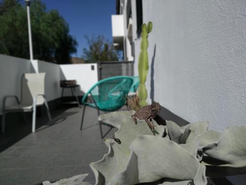 Rodalquilar Apartment | PiedraNegra, apartamento completo con patio, terraza y BBQ