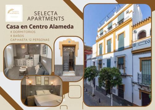 Feria House | Selecta Casa central Alameda