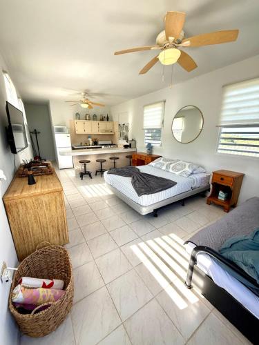 Calvache Apartment | The Stargazer