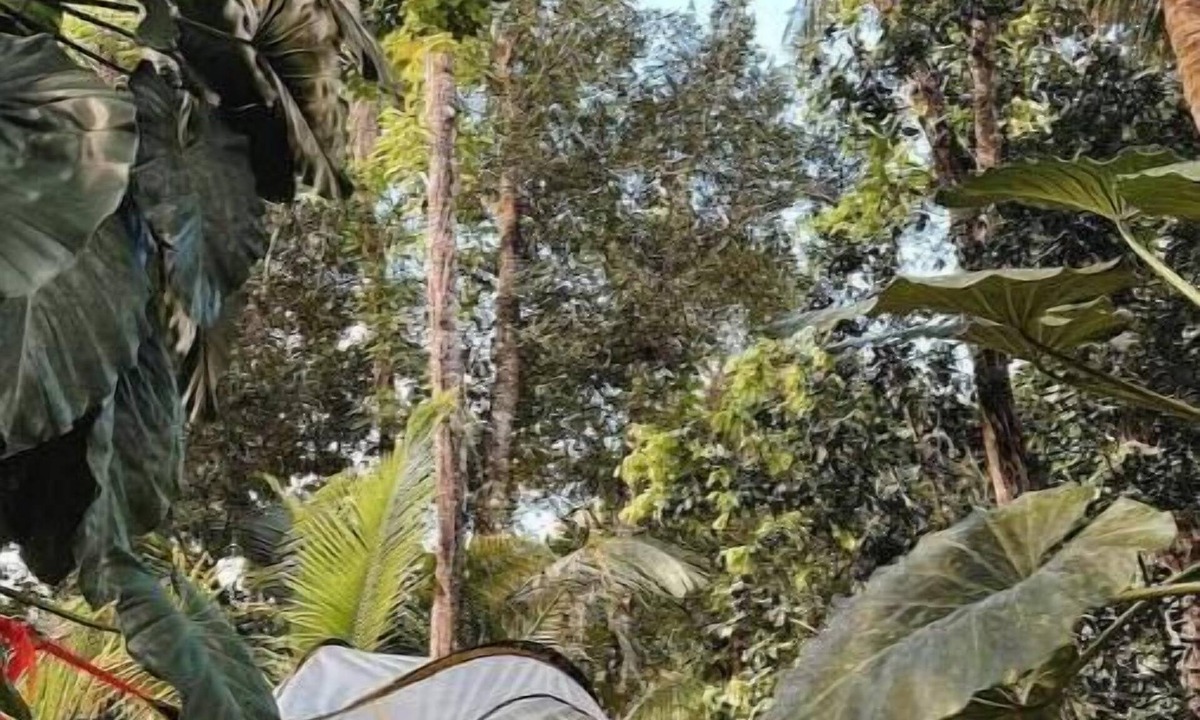Sabana RV Rental | Tree Camping Tents: Hacienda Monte Rey