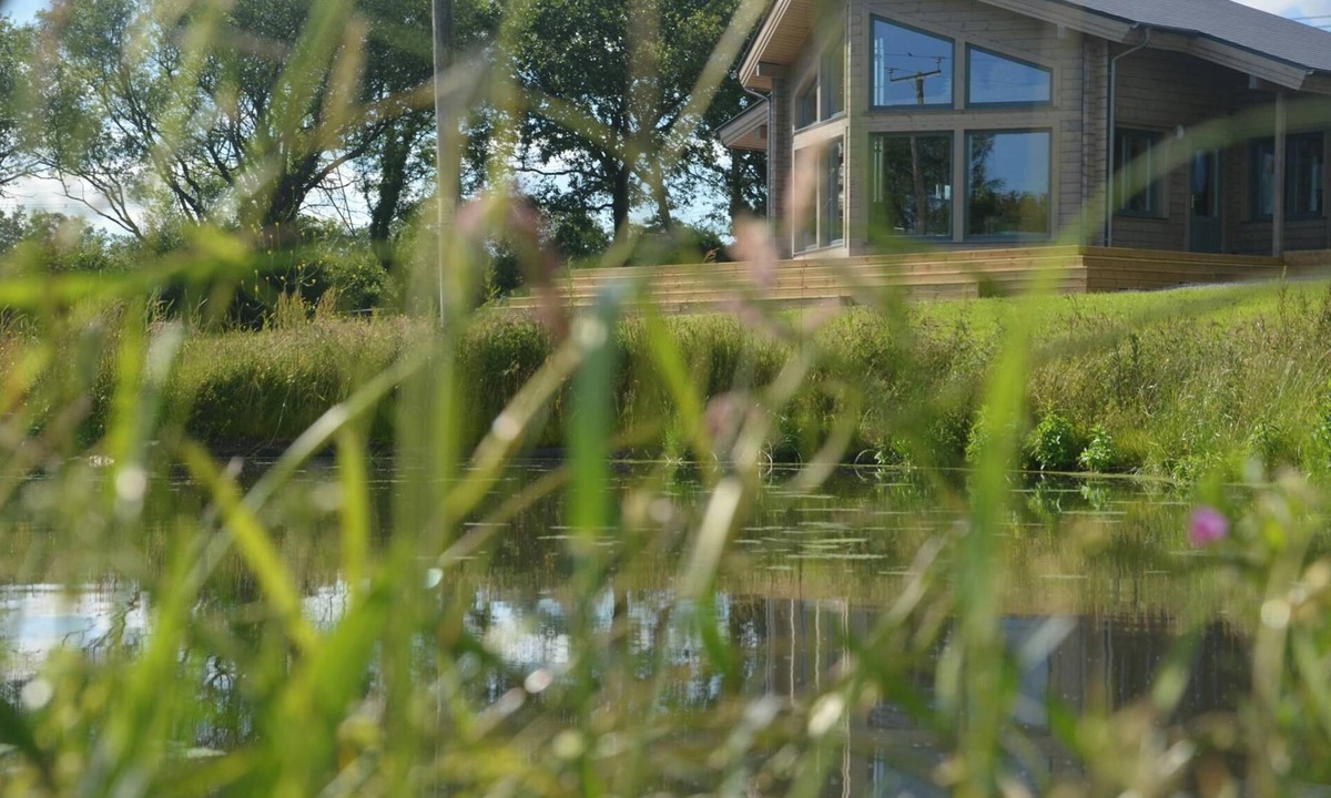 Llangynog Cottage | Ty Log, Llansteffan - Two Bedroom Cottage, Sleeps 4
