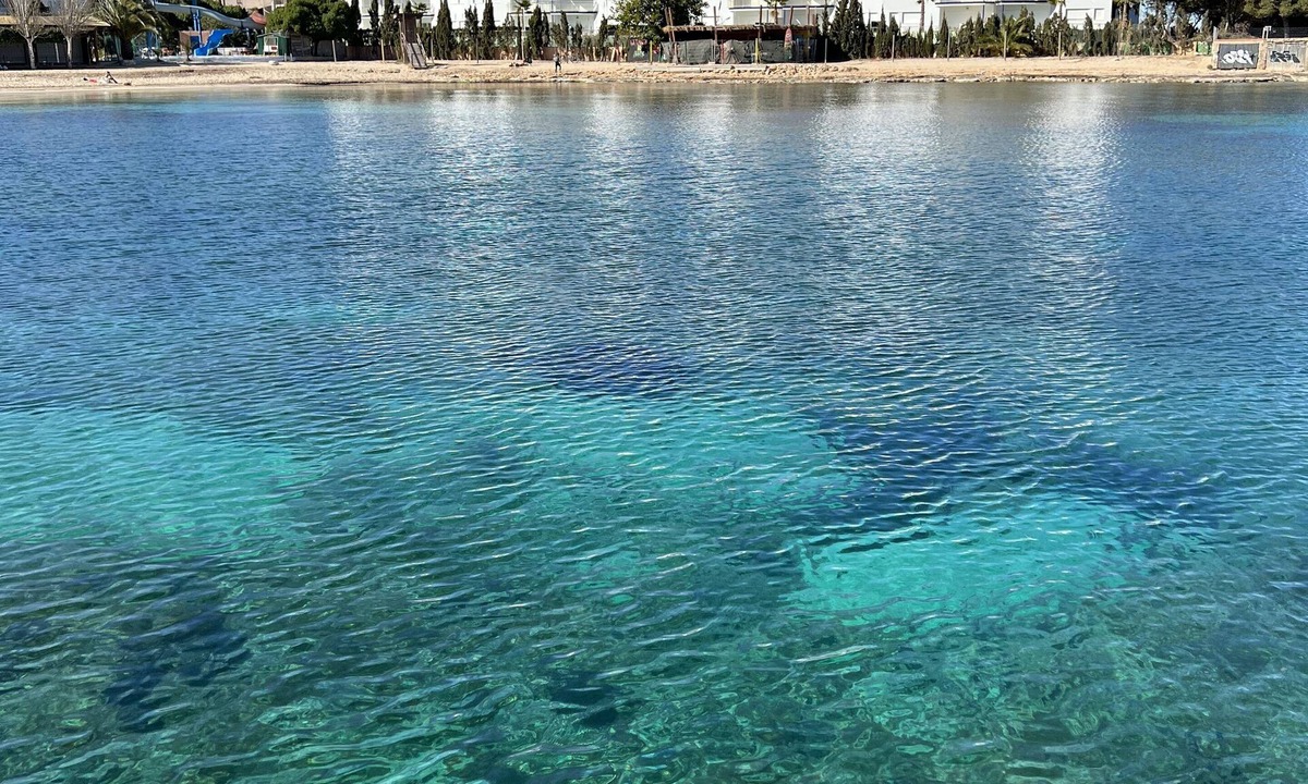San Antonio Bay Apartment | Upscale 3 bedroom front line sea with sunset view