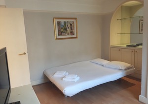 Fantastic Studio Flat for 2 in Chelsea - CC