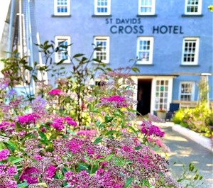 St Davids 