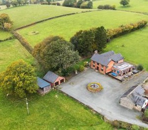 Newydd 