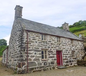 Llwyn 