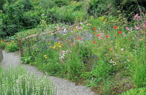 Boncath Cottage | 2 bedroom accommodation in Abercych, near Newcastle Emlyn