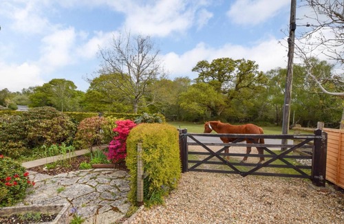New Forest District Cottage | 3 Bed in Brockenhurst (oc-w30959)