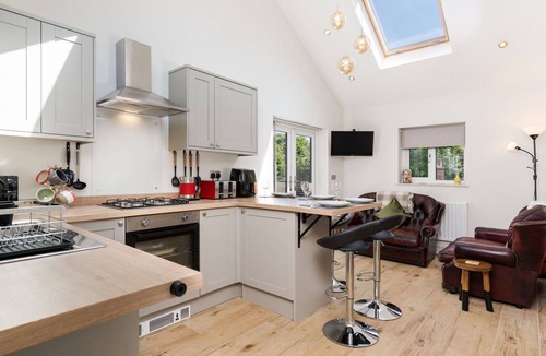 Newbridge House | Beautiful villa for 4 people with WIFI, terrace and pets allowed