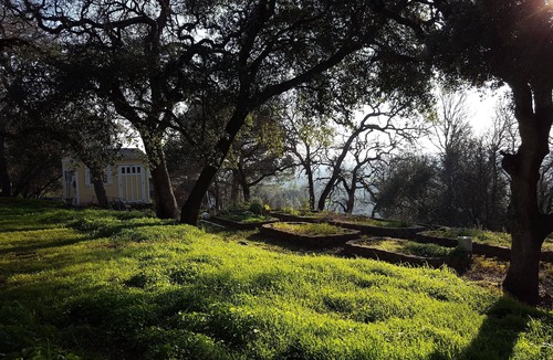 Loomis Cottage | Casa Dragonfly California ~ Casita with a View off Horseshoe Bar Rd
