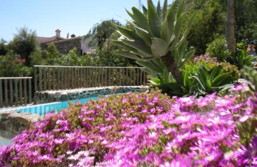 Arenas House | Casa Hidalgo