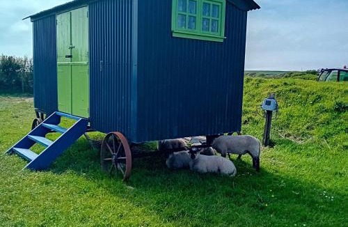 St Ishmaels Other | Coast Path Camping