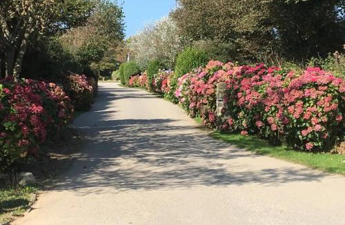 Newquay Resort | Cosy 2 bed pet friendly holiday home Crantock Nr Newquay