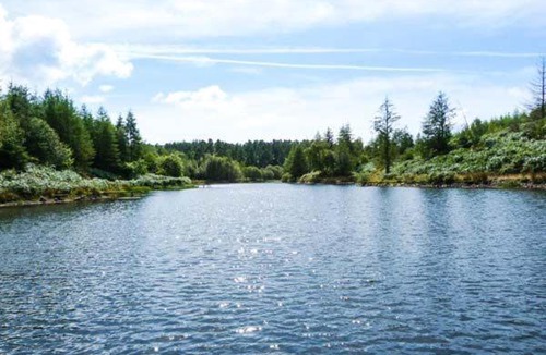 Low Newton House | Cunsey Lodge