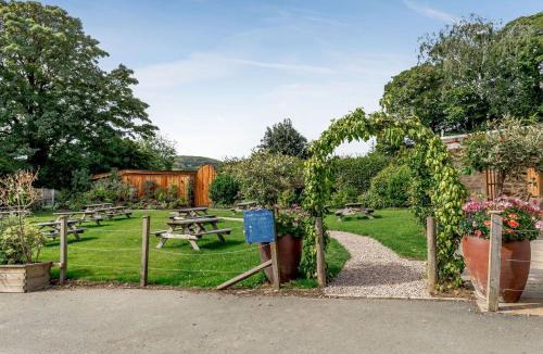 Llangadfan House | Daffodil - Uk40266