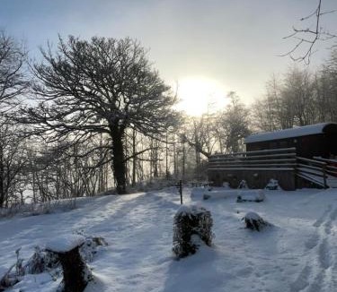 Llanilar Ski Chalet | Fronfetyn
