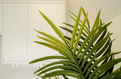 Clifton Apartment | Grange Rd Flat 5 one bedroom