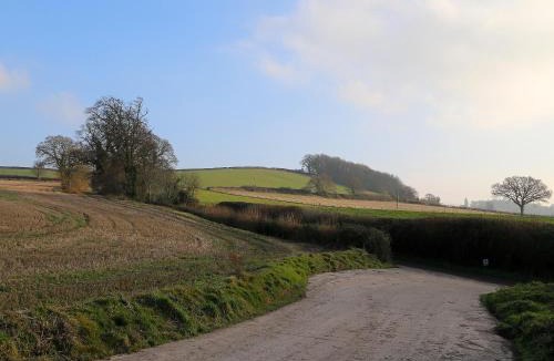 Ilminster House | Grapevine Cottage