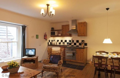 Walwyn's Castle House | Holly Tree