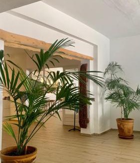 Cala de Bou Hotel | Hotel Tagomago