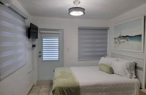 Mayaguez Pueblo Apartment | L & R Studio