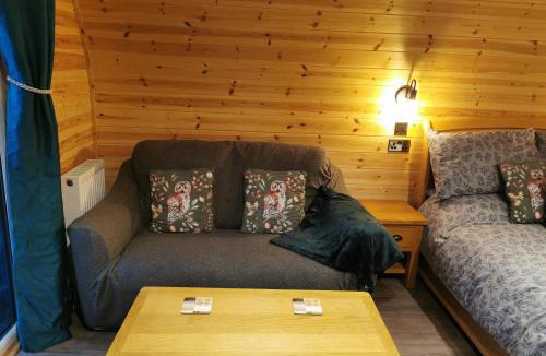 Llanelli House | Lodge 2