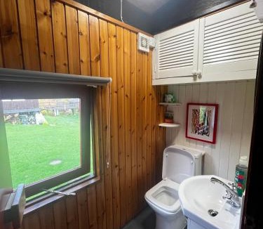 Cenarth Ski Chalet | Lush 1970s Scandi-inspired Welsh woodland cabin