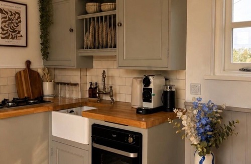 Pattiswick Apartment | Luxury Shepherds Hut, outdoor area and hot tub
