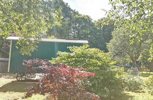 Longdown Cabin | Luxury Shepherds Hut Retreat in Devon near Exeter & Dartmoor. Views into woods.