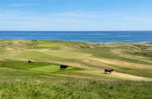 Brora House | No4 The Links Apartments