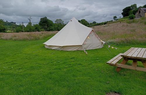 Pentrefelin Other | Oak Tree Farm