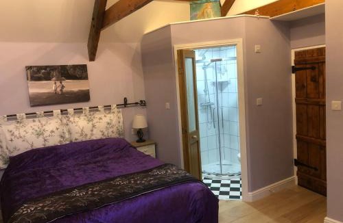 Newcastle Emlyn House | Oakley Bed & Breakfast - Vegetarian, Vegan
