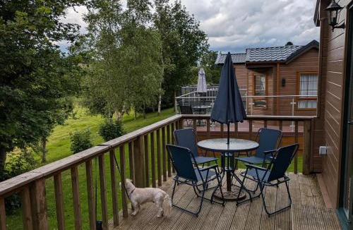 Newcastleton House | Pet Friendly - Lodge at Riverview Holiday Park