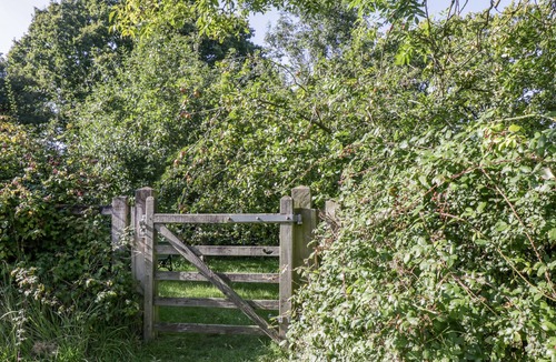 Toller Porcorum Cottage | Pound Cottage