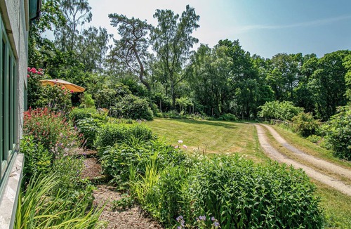 New Forest District Cottage | Primrose Spinney