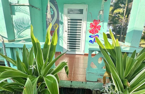 Playa Fortuna House | Private beach house 4 bedrooms & gazebo on the beach IG @mar y miel Love Dogs