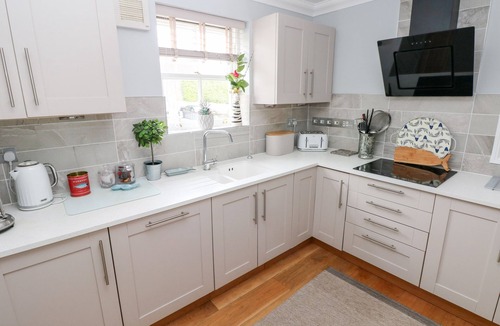 Tenby Cottage | Puffins