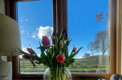 Cambridge Cottage | Quaint Farm Cottage in charming peaceful village
